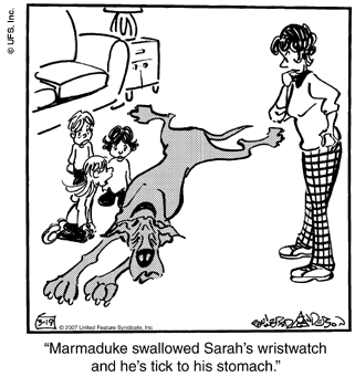 marmaduke